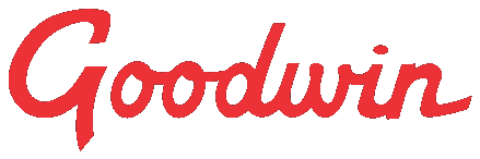 Goodwin Bombas